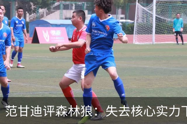 范甘迪评森林狼：失去核心实力下降 西部第六难保